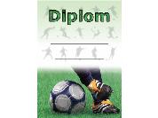 Diplom - Fotbal D 36