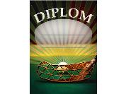 Diplom - Floorball D 29